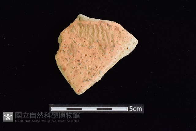 陶罐藏品圖，第1張