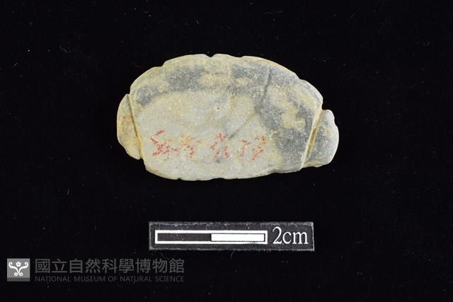 網墜藏品圖，第1張