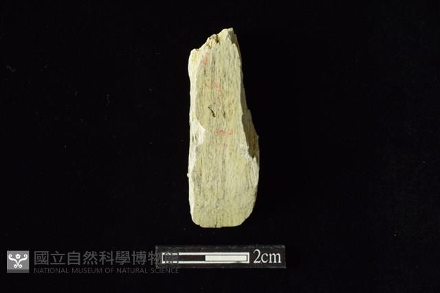 錛鑿形器藏品圖，第1張
