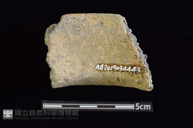 陶罐藏品圖，第2張