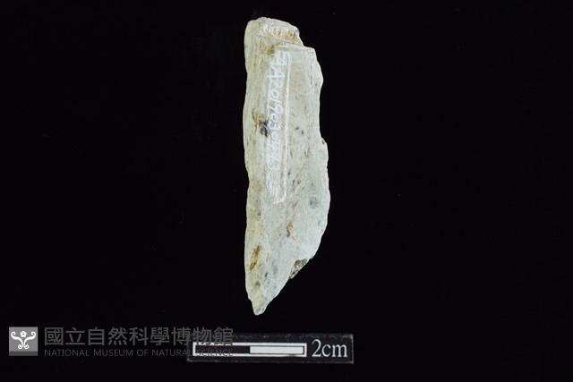 錛鑿形器藏品圖，第2張