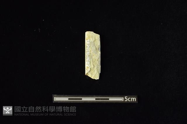 玉料藏品圖，第2張