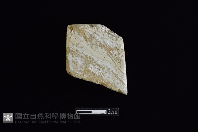 錛鑿形器藏品圖，第1張