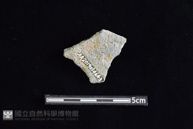 陶片藏品圖，第2張