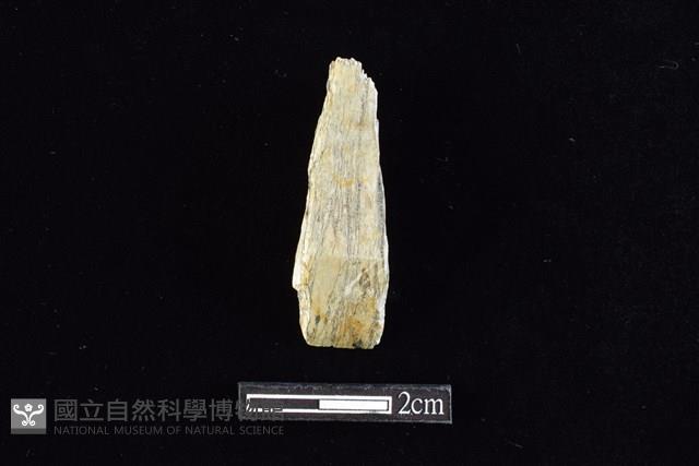 錛鑿形器藏品圖，第1張