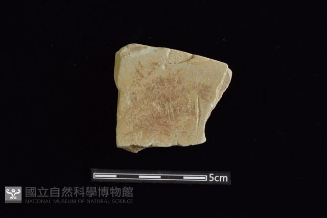 砥石藏品圖，第1張