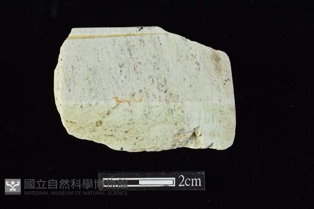 錛鑿形器藏品圖，第1張