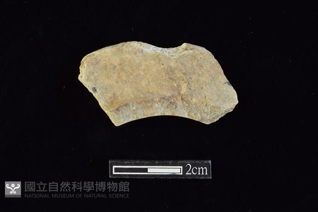 玉環藏品圖，第2張