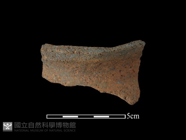 陶罐藏品圖，第2張