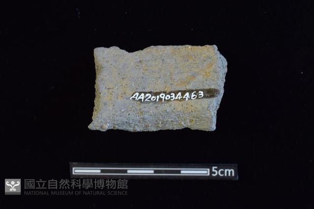 陶罐藏品圖，第2張