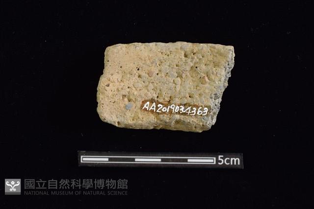 陶罐藏品圖，第2張