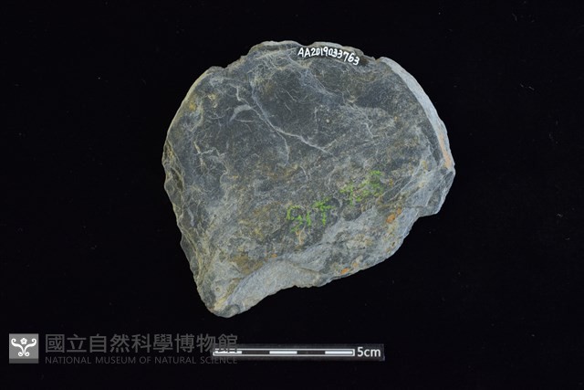 石圓片藏品圖，第2張