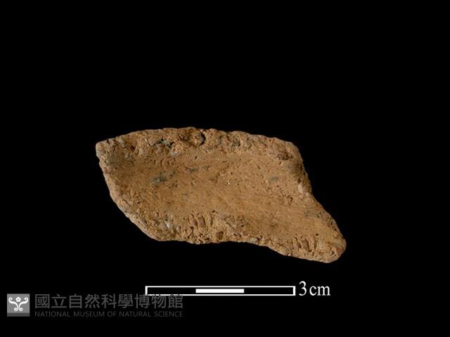 陶罐藏品圖，第2張