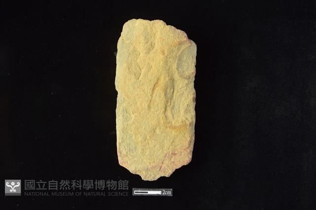 斧鋤形器藏品圖，第1張