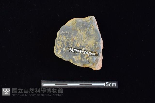 陶片藏品圖，第2張