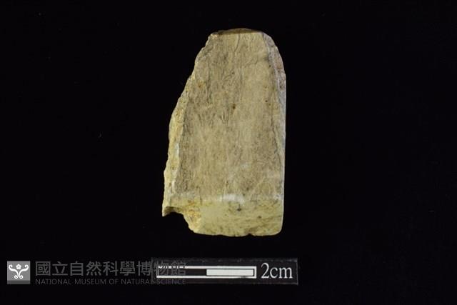 錛鑿形器藏品圖，第1張