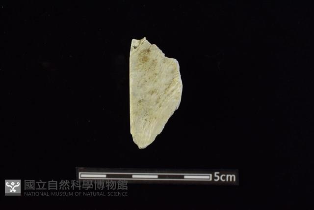 錛鑿形器藏品圖，第2張