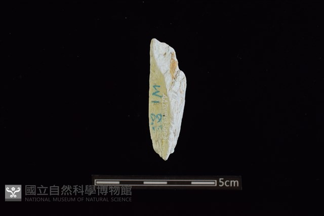 玉料藏品圖，第2張