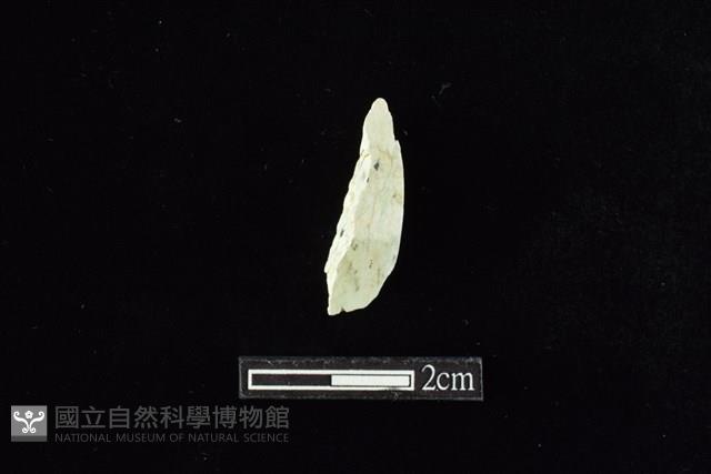 錛鑿形器藏品圖，第1張