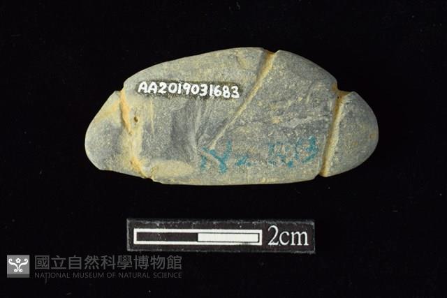 網墜藏品圖，第2張