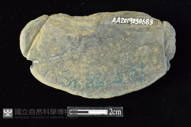 網墜藏品圖，第2張