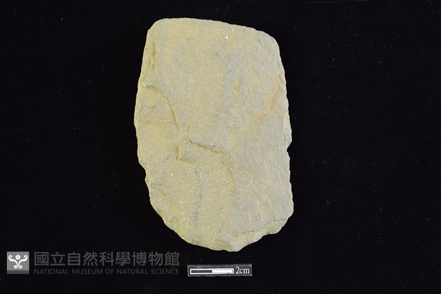 斧鋤形器藏品圖，第1張