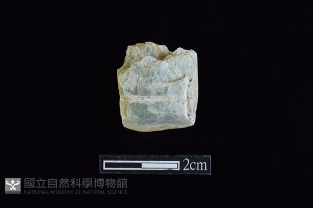 錛鑿形器藏品圖，第1張