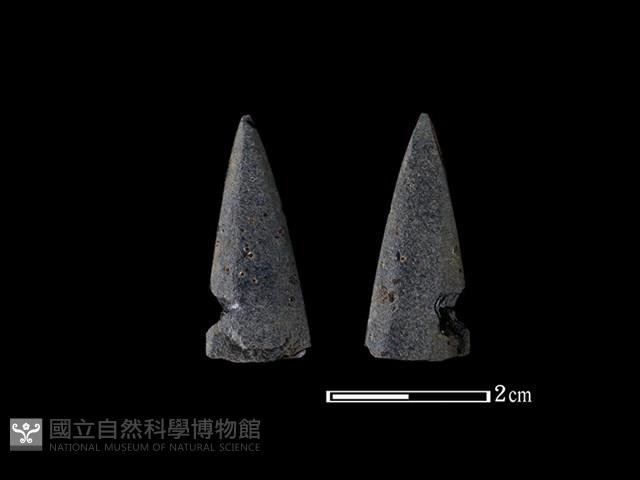 矛鏃形器藏品圖，第1張