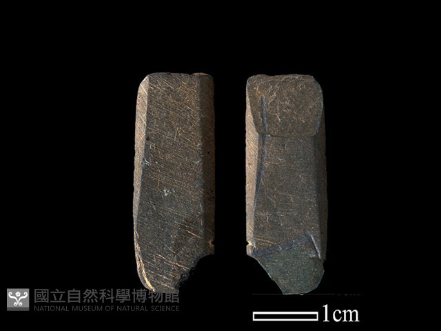 矛鏃形器藏品圖，第1張