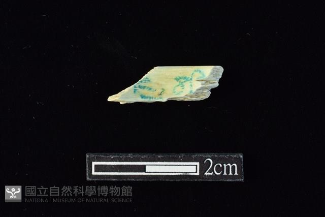 玉環藏品圖，第2張