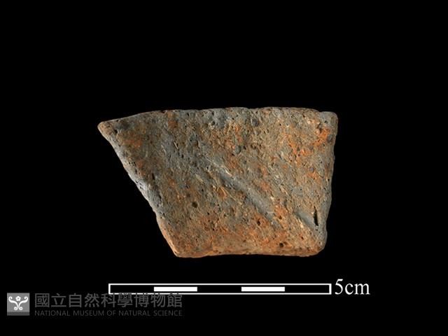 陶罐藏品圖，第2張