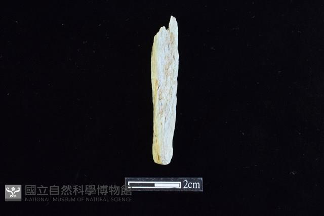 錛鑿形器藏品圖，第1張