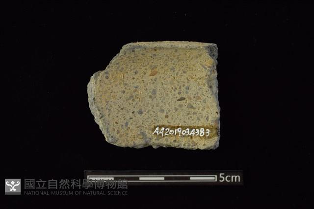 陶片藏品圖，第2張