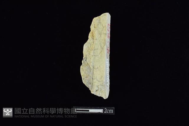 錛鑿形器藏品圖，第1張
