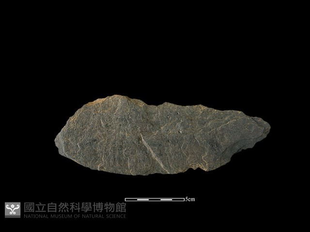 石片器藏品圖，第2張