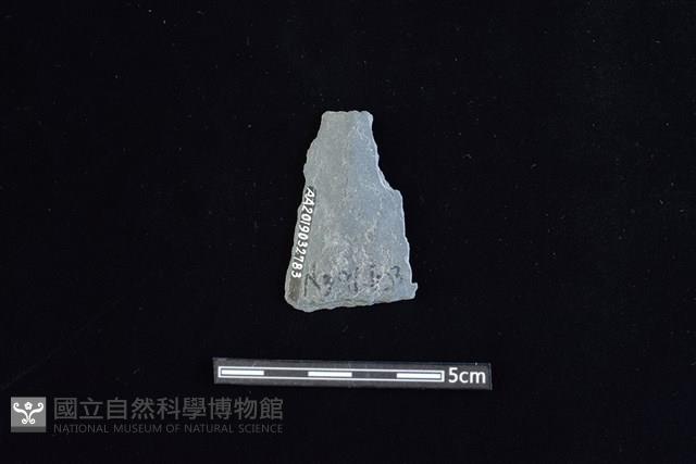 矛鏃形器藏品圖，第2張