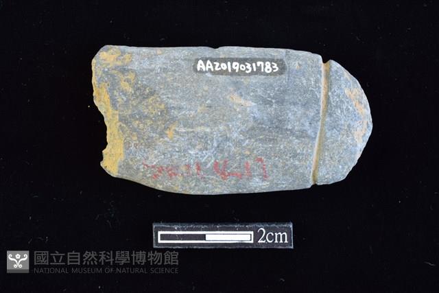 網墜藏品圖，第2張