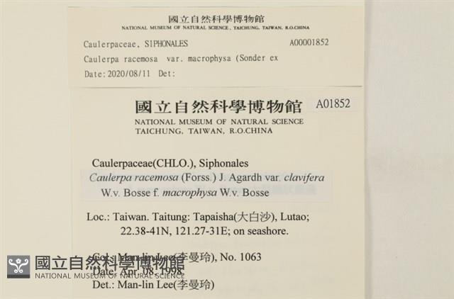 登錄號:A00001852藏品圖，第2張