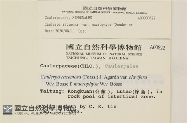 登錄號:A00000822藏品圖，第2張