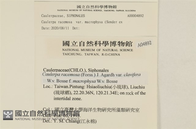 登錄號:A00004892藏品圖，第2張