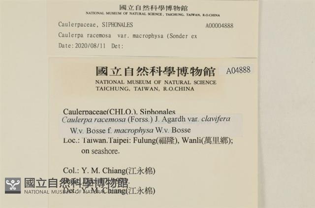 登錄號:A00004888藏品圖，第2張