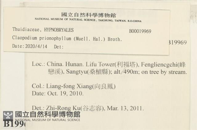 登錄號:B00019969藏品圖，第2張