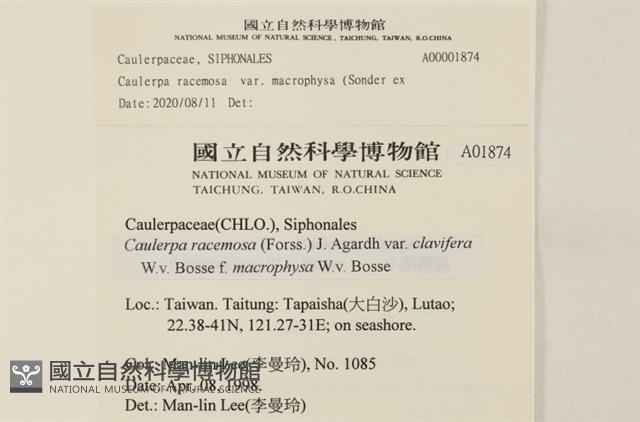 登錄號:A00001874藏品圖，第2張