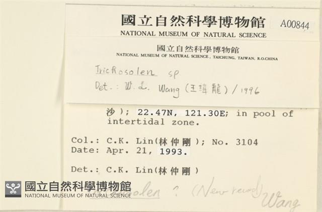 登錄號:A00000844藏品圖，第2張