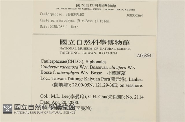 登錄號:A00006864藏品圖，第2張