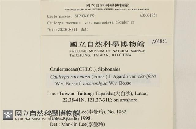 登錄號:A00001851藏品圖，第2張