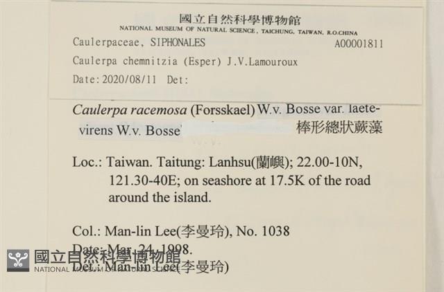 登錄號:A00001811藏品圖，第2張