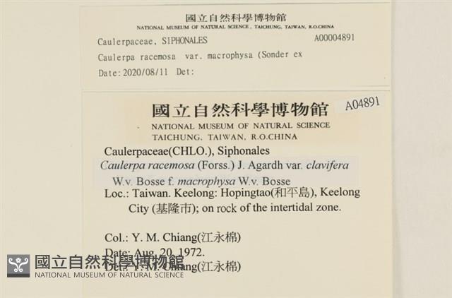 登錄號:A00004891藏品圖，第2張