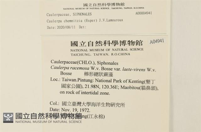 登錄號:A00004941藏品圖，第2張