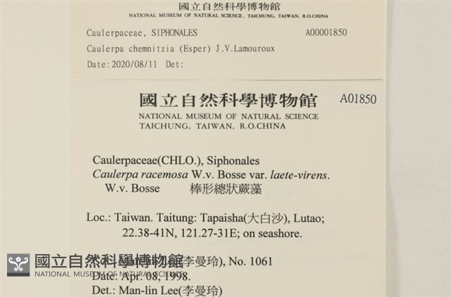 登錄號:A00001850藏品圖，第2張
